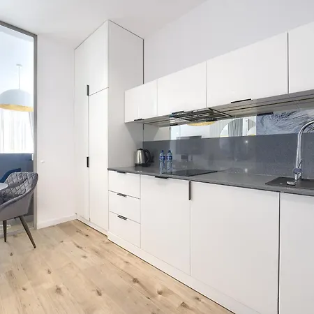 3l Kosciuszki 16 Premium No Balcony 公寓